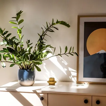 Appartement Artistic In Centre *